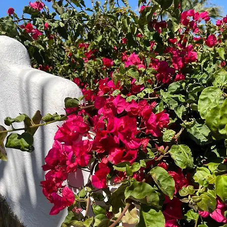 Sea Breeze - Brisas Del Mar Lejlighed